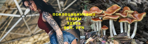 сатива Абдулино