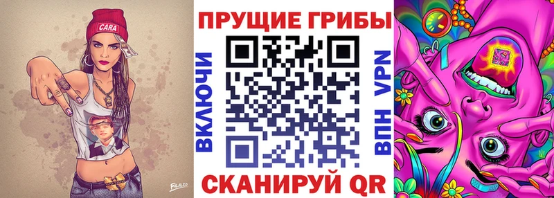 Галлюциногенные грибы мицелий кракен маркетплейс Топки что такое